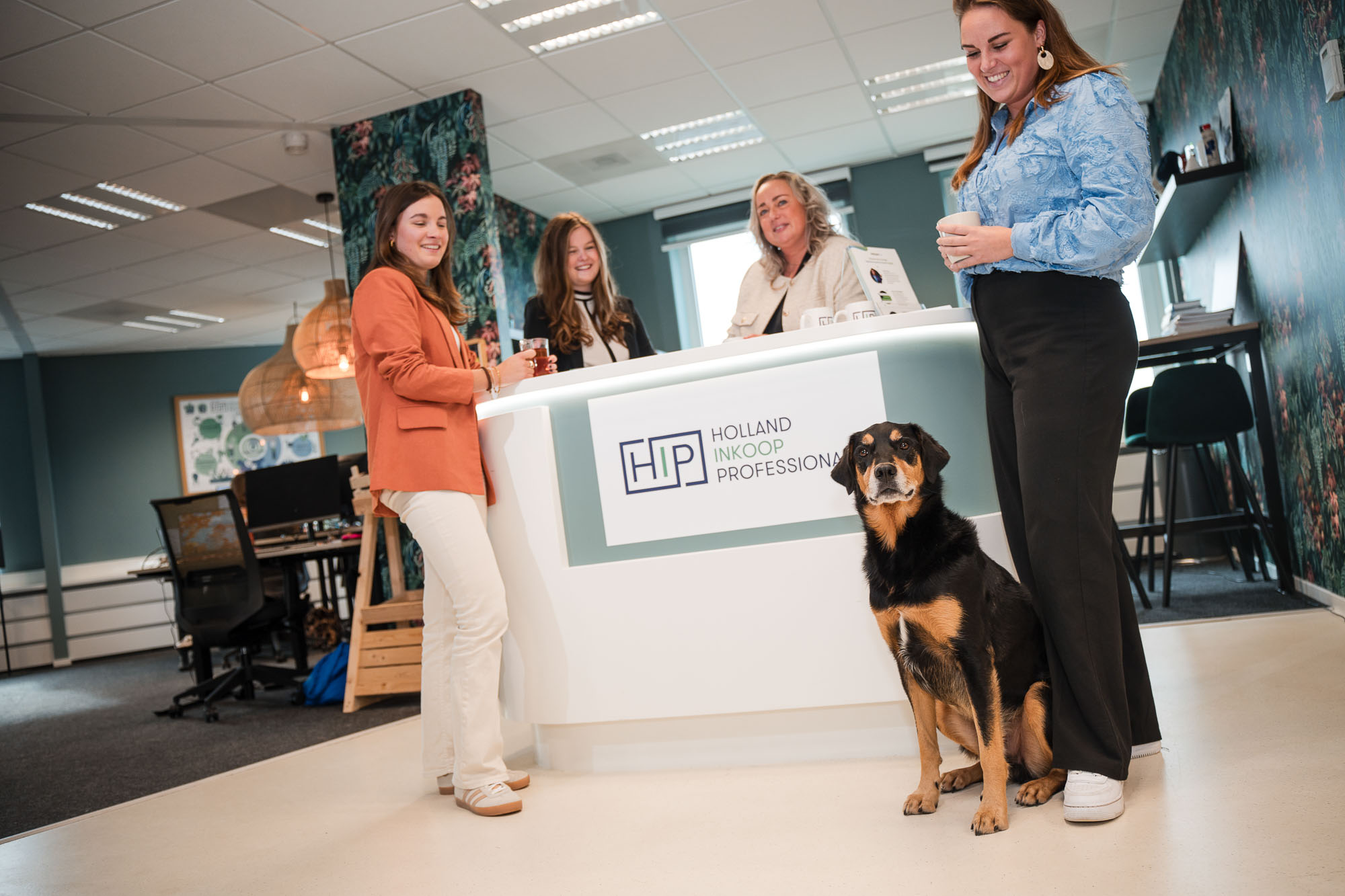 Vacature Inkoper | Inkoop Vacatures | Contractmanagement | Holland Inkoop Professionals | Inkoopproces | Inkoopadviseur